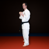 7w7rbgvuk7-basic2.png Karategi Adult Basic