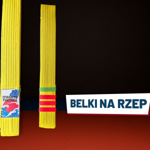 Żółty pas z zestawem belek na rzep